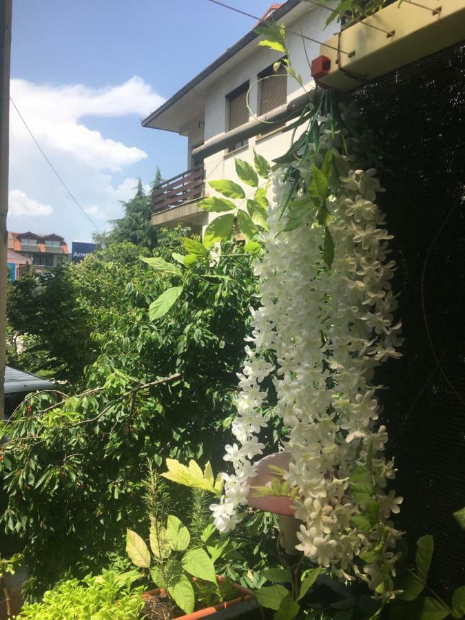 Ani Apartment أوهغيد المظهر الخارجي الصورة